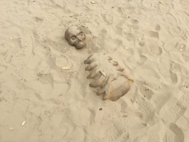 Buried Skeleton Folly Farm Pirate Play Area Playground