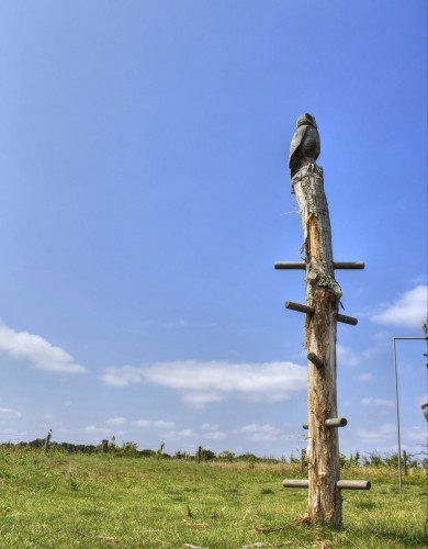 Climbing Post Topped With Carving Abberton Reservoir Childrens Outdoor Play Area By Flights Of Fantasy E1481994406849 Climbing Post Topped With Carving Abberton Reservoir Childrens Outdoor Play Area By Flights Of Fantasy E1481994406849