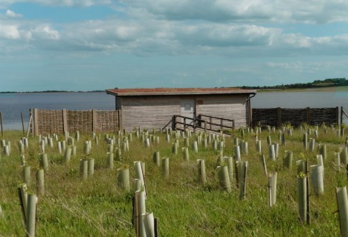 Gwens Bird Hide At Abberton Reservoir For Essex Wildlife Trust Small Gwens Bird Hide At Abberton Reservoir For Essex Wildlife Trust Small