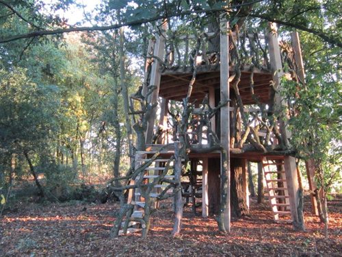 Moseley Old Hall Treehouse