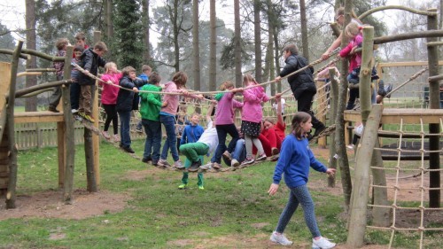 Sandringham Public Wooden Outdoor Childrens Play Area 20 Sandringham Public Wooden Outdoor Childrens Play Area 20
