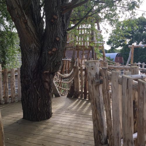 Tree Platform Knockhatch Fort Chestnut Wood Adventure Play Area Square