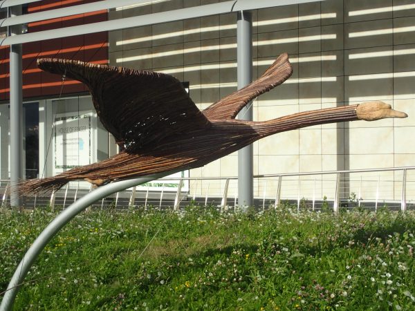 flying swan rushden lakes sculptures