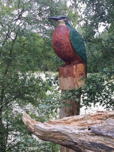 kingfisher carving in tree