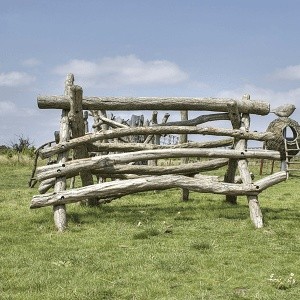 Log Pile Log Pile