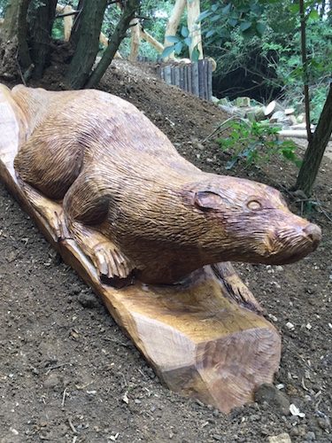 otter hill carving wooden sculpture rushden lakes otter hill carving wooden sculpture rushden lakes