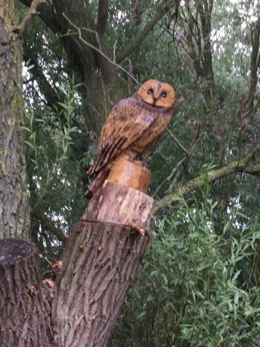 owl carving in tree 1
