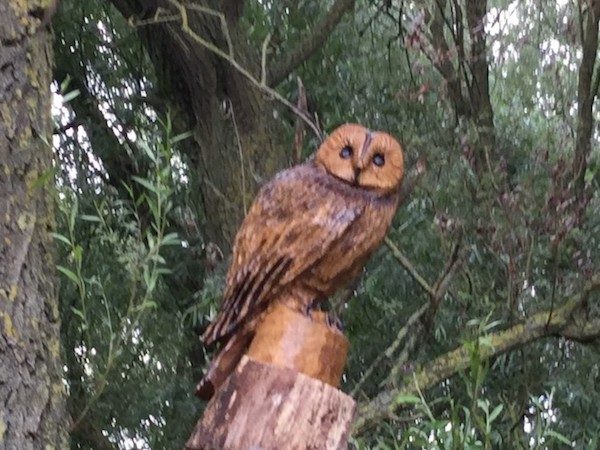 owl carving in tree landscape owl carving in tree landscape