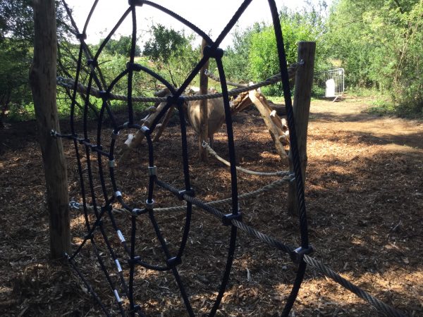 spider web climb net rushden lakes play area 1 spider web climb net rushden lakes play area 1