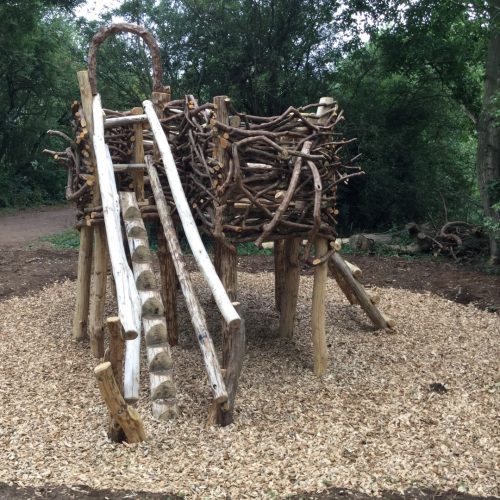 step log to herons nest step log to herons nest