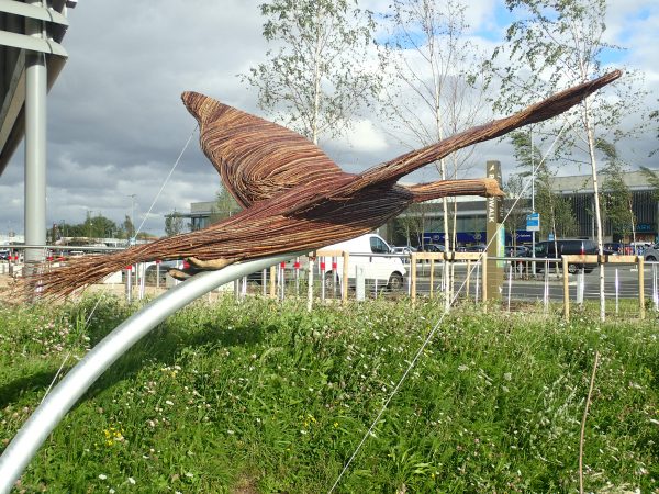 swan flying rear view rushden lakes sculptures swan flying rear view rushden lakes sculptures