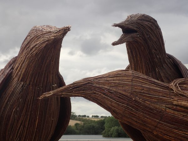 three chatty starlings rushden lakes sculptures