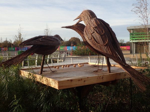 three giant starlings